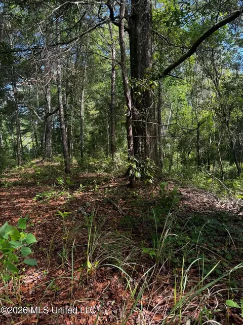 Riverwalk Dr, Vancleave, MS 39565 photo 8