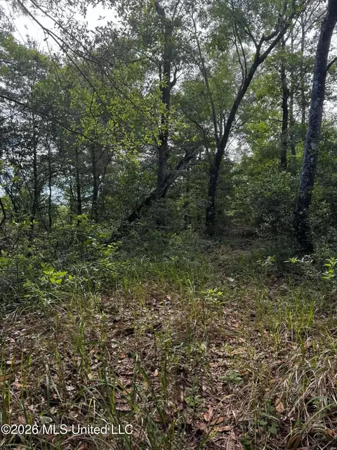 Riverwalk Dr, Vancleave, MS 39565 photo 4