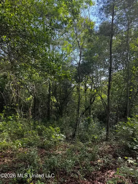 Riverwalk Dr, Vancleave, MS 39565 photo 6