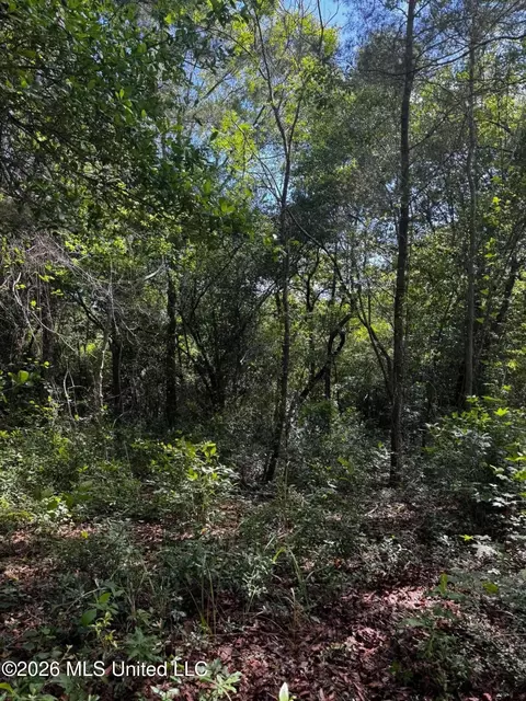 Riverwalk Dr, Vancleave, MS 39565 photo 3