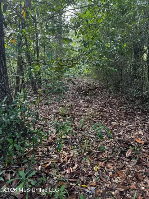 Riverwalk Dr, Vancleave, MS 39565 photo 2