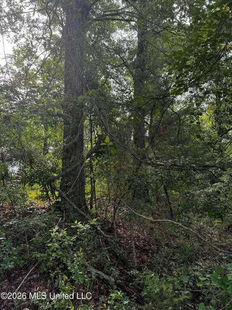 Riverwalk Dr, Vancleave, MS 39565 photo 5