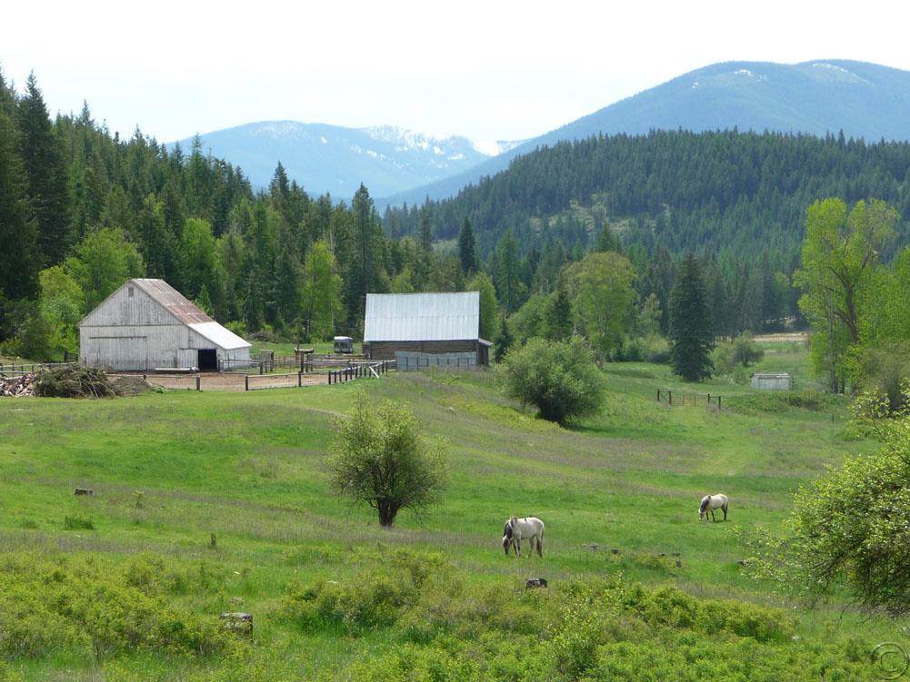 510 Curley Creek Rd, Troy, MT 59935 photo 1