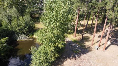 829 Pine Meadow Dr, Hamilton, MT 59840 photo 19