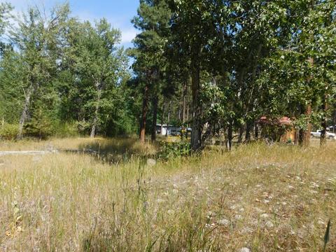 829 Pine Meadow Dr, Hamilton, MT 59840 photo 13