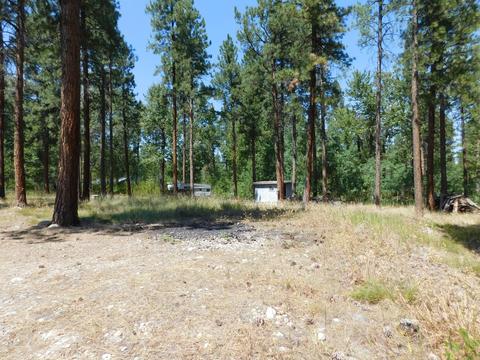 829 Pine Meadow Dr, Hamilton, MT 59840 photo 9