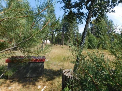 829 Pine Meadow Dr, Hamilton, MT 59840 photo 15