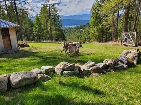 175 Frontier Trl, Kalispell, MT 59901 photo 1