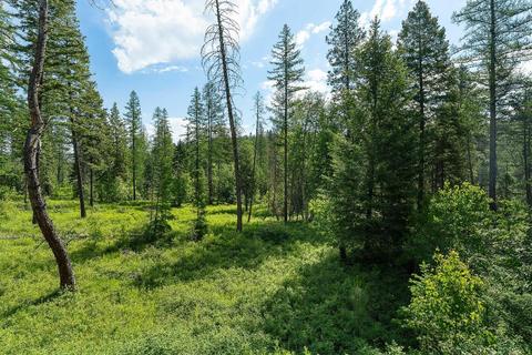 405 Chief Cliff Trl, Bigfork, MT 59911 photo 1