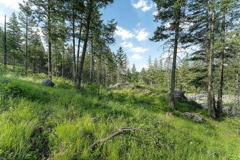 142 Buckaroo Trl, Bigfork, MT 59911 photo 1