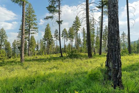 115 Trading Post Trl, Bigfork, MT 59911 photo 1