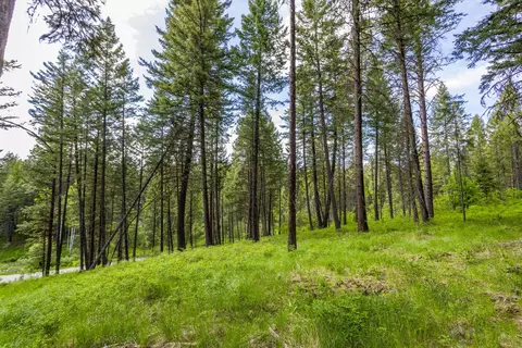604 Ranch Rd, Bigfork, MT 59911