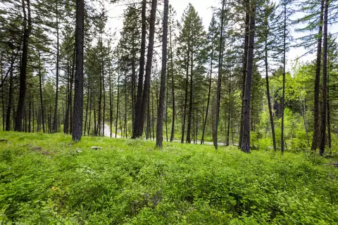 616 Ranch Rd, Bigfork, MT 59911