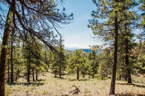 lot23 Dearborn River Rd, Cascade, MT 59421 photo 2