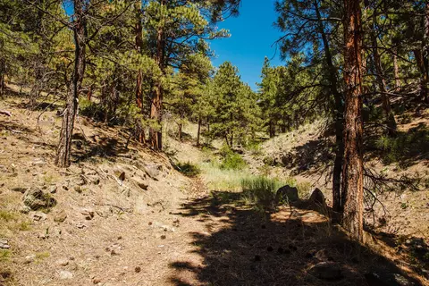 lot23 Dearborn River Rd, Cascade, MT 59421 photo 6