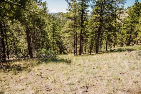 lot23 Dearborn River Rd, Cascade, MT 59421 photo 32