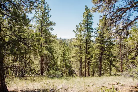 lot23 Dearborn River Rd, Cascade, MT 59421 photo 27