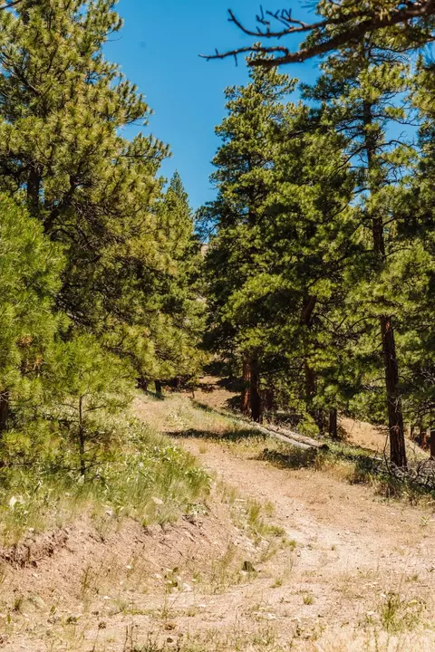 lot23 Dearborn River Rd, Cascade, MT 59421 photo 48