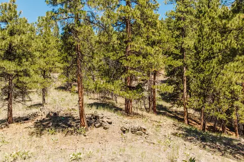 lot23 Dearborn River Rd, Cascade, MT 59421 photo 40