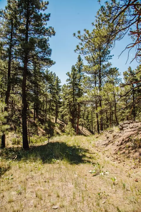 lot23 Dearborn River Rd, Cascade, MT 59421 photo 28