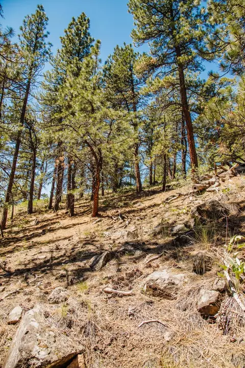 lot23 Dearborn River Rd, Cascade, MT 59421 photo 20