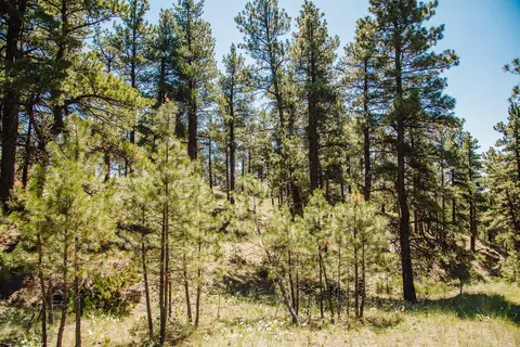 lot23 Dearborn River Rd, Cascade, MT 59421 photo 24
