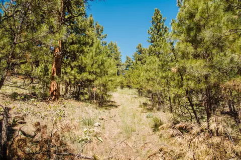 lot23 Dearborn River Rd, Cascade, MT 59421 photo 17