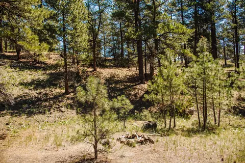 lot23 Dearborn River Rd, Cascade, MT 59421 photo 19
