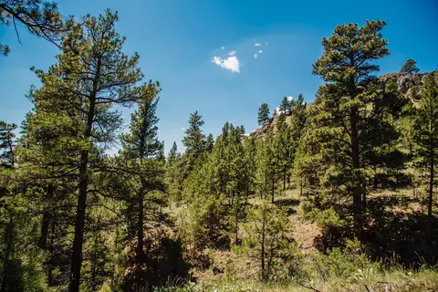 lot23 Dearborn River Rd, Cascade, MT 59421 photo 7
