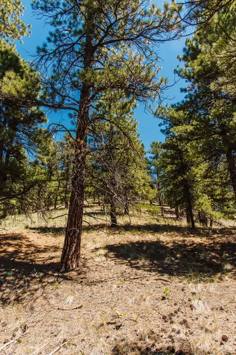 lot23 Dearborn River Rd, Cascade, MT 59421 photo 44