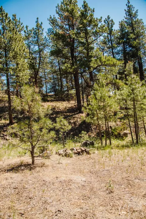 lot23 Dearborn River Rd, Cascade, MT 59421 photo 21