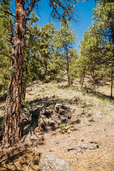 lot23 Dearborn River Rd, Cascade, MT 59421 photo 29