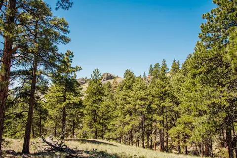 lot23 Dearborn River Rd, Cascade, MT 59421 photo 38