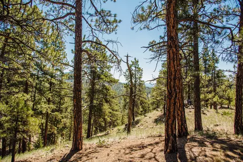 lot23 Dearborn River Rd, Cascade, MT 59421 photo 11
