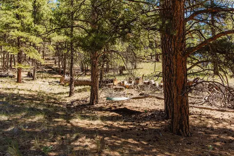 lot23 Dearborn River Rd, Cascade, MT 59421 photo 14