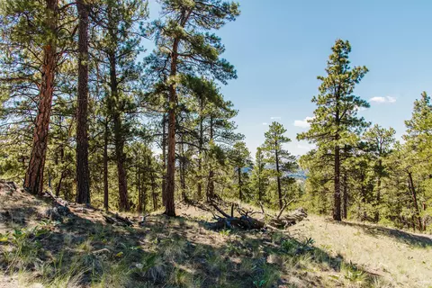 lot23 Dearborn River Rd, Cascade, MT 59421 photo 33