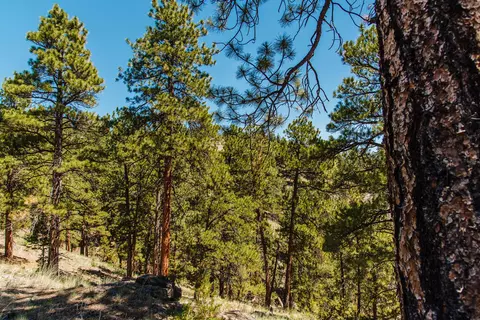 lot23 Dearborn River Rd, Cascade, MT 59421 photo 36