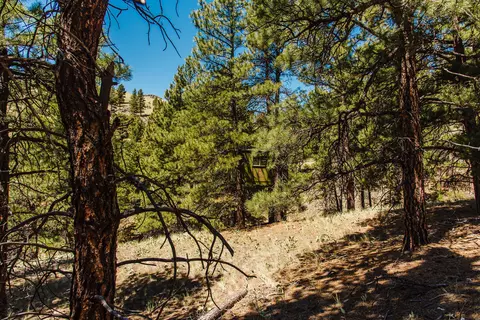 lot23 Dearborn River Rd, Cascade, MT 59421 photo 10