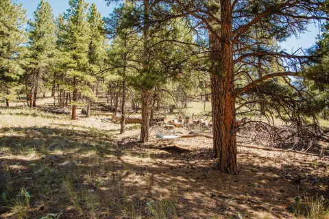 lot23 Dearborn River Rd, Cascade, MT 59421 photo 9