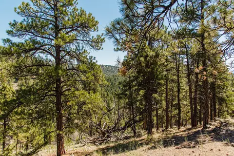 lot23 Dearborn River Rd, Cascade, MT 59421 photo 37
