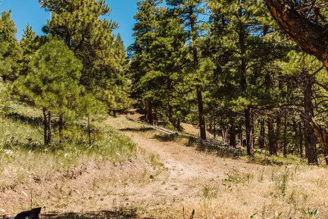 lot23 Dearborn River Rd, Cascade, MT 59421 photo 4