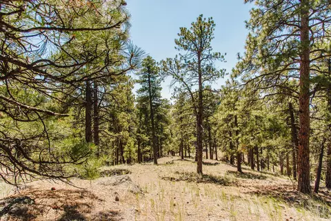 lot23 Dearborn River Rd, Cascade, MT 59421 photo 35