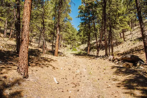 lot23 Dearborn River Rd, Cascade, MT 59421 photo 5