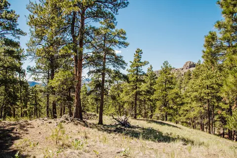 lot23 Dearborn River Rd, Cascade, MT 59421 photo 39