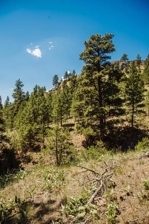 lot23 Dearborn River Rd, Cascade, MT 59421 photo 47