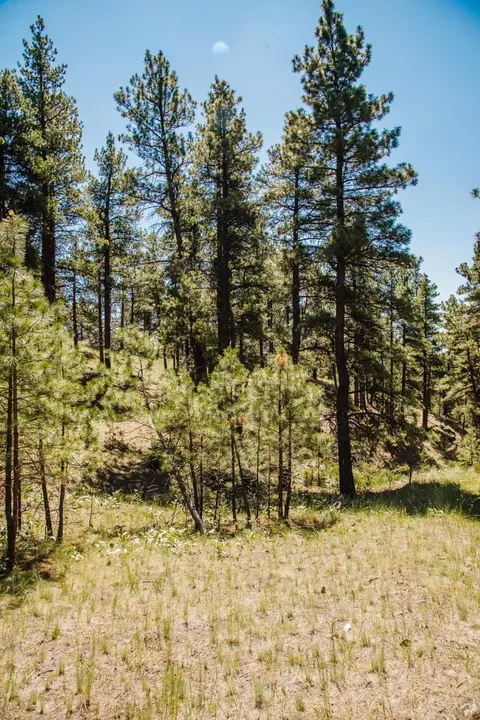 lot23 Dearborn River Rd, Cascade, MT 59421 photo 26
