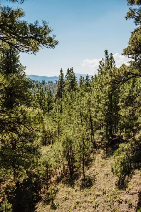 lot23 Dearborn River Rd, Cascade, MT 59421 photo 13