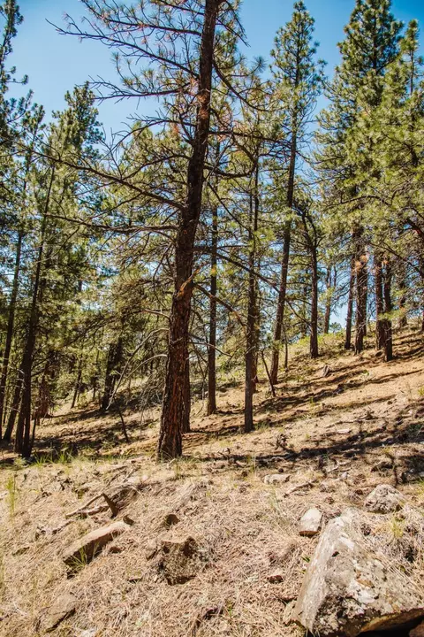 lot23 Dearborn River Rd, Cascade, MT 59421 photo 22