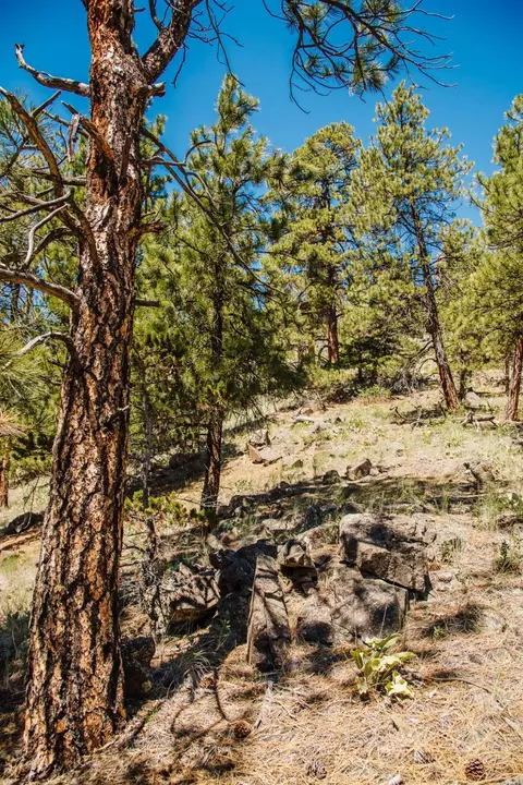lot23 Dearborn River Rd, Cascade, MT 59421 photo 30