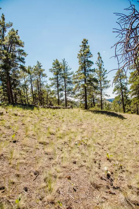 lot23 Dearborn River Rd, Cascade, MT 59421 photo 31